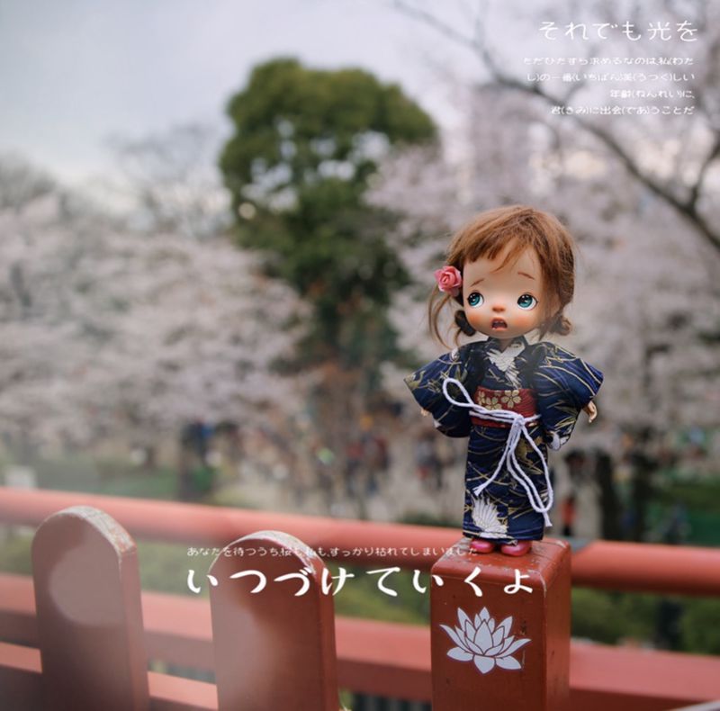 1/8 1/6 1/4 1/3 BJD Japanse ki - Japanese Lifestyle Shoes recensie en prijs